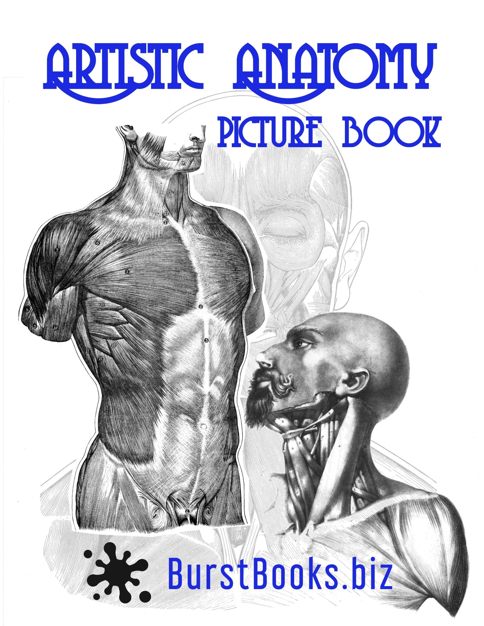 Artistic Anatomy