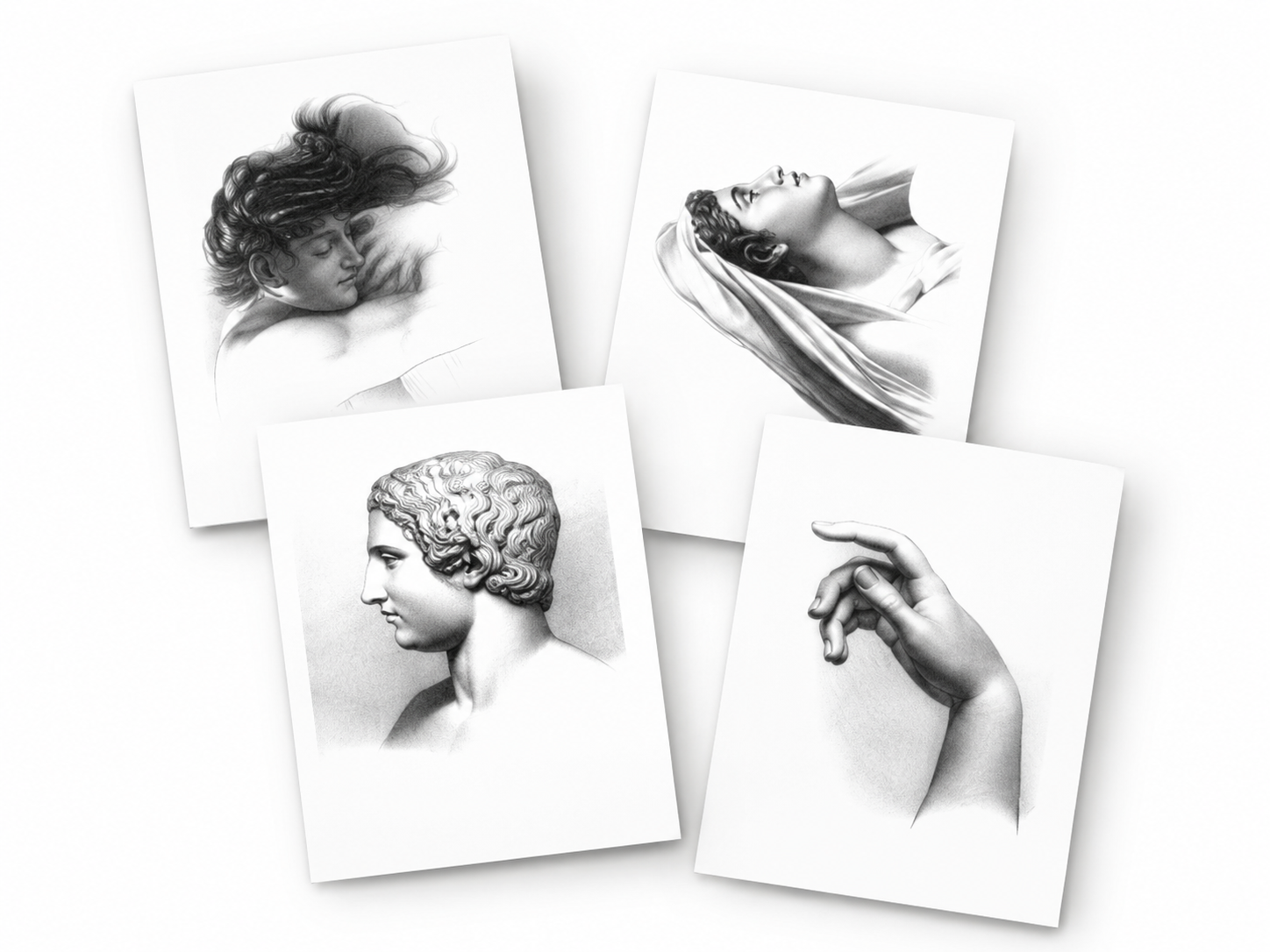 Reverdin Collection sample plates