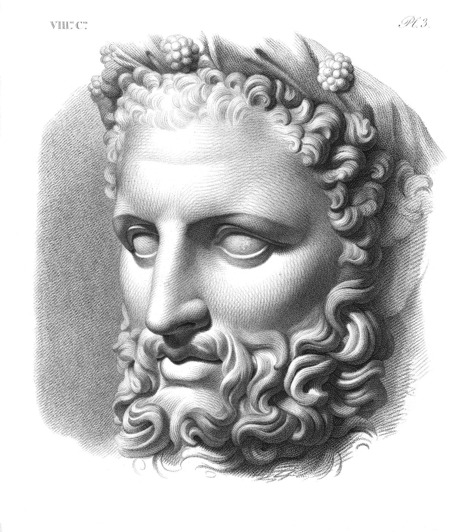 Historic classical head drawing plate