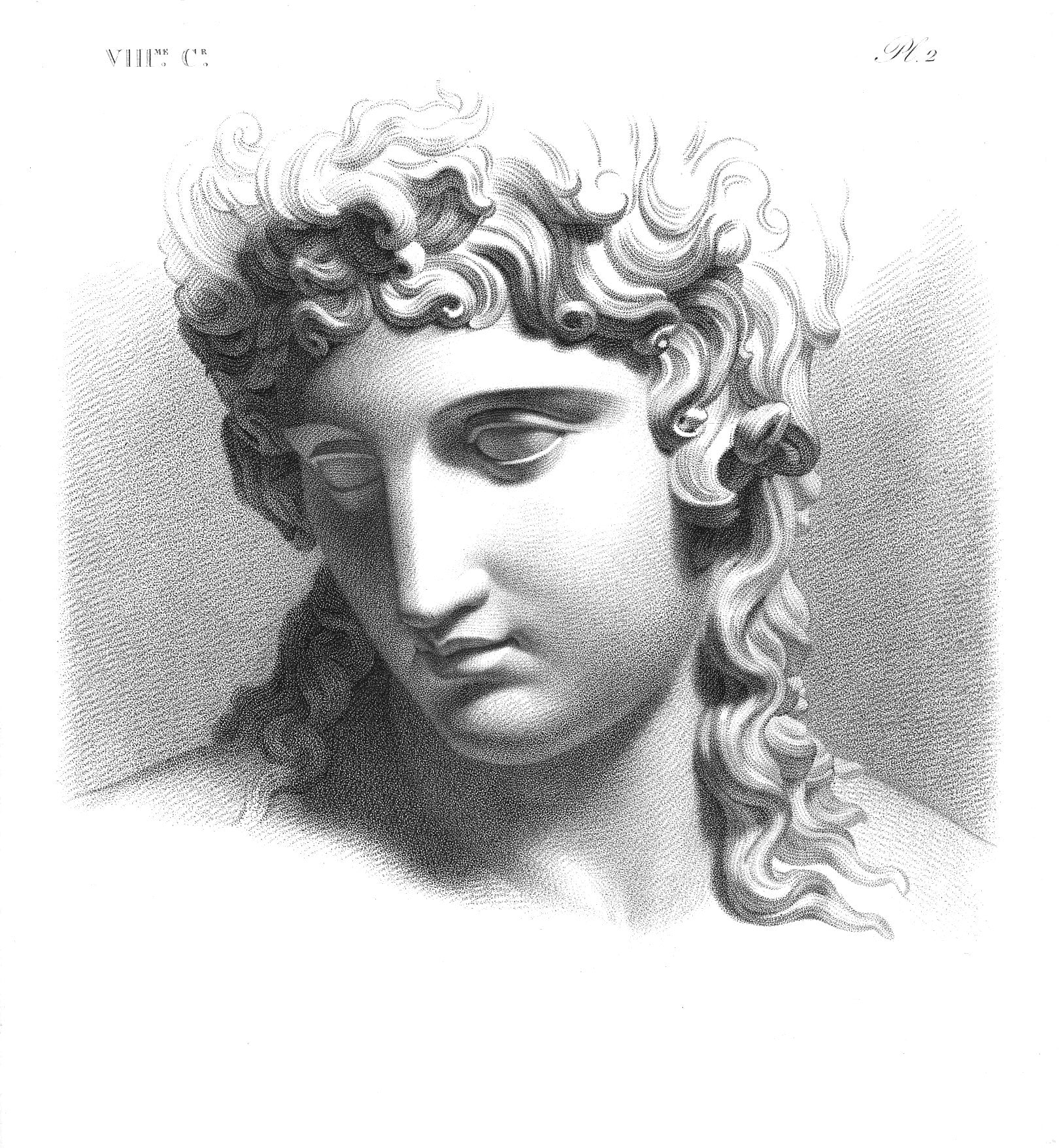 Historic classical head study plate
